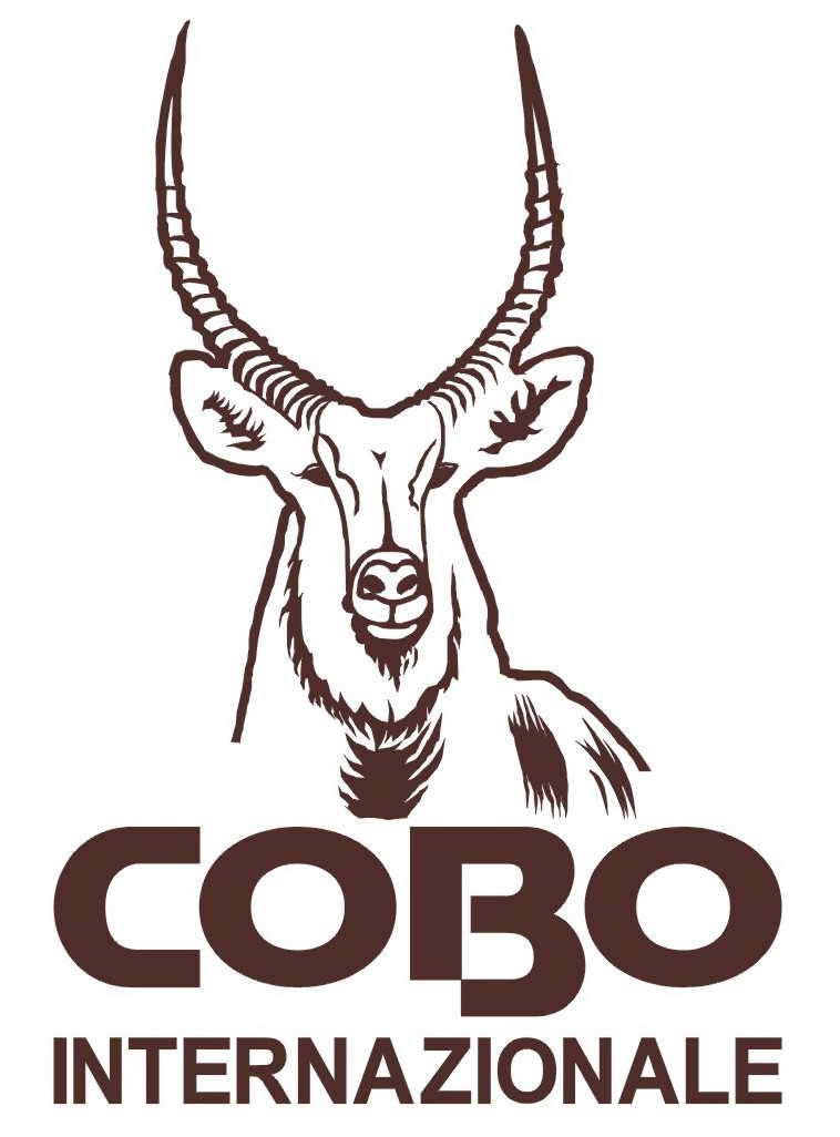 COBO������곤��ѵ