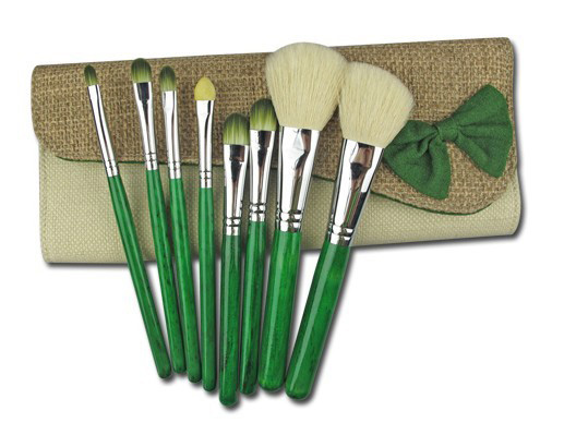 cosmetic brush set